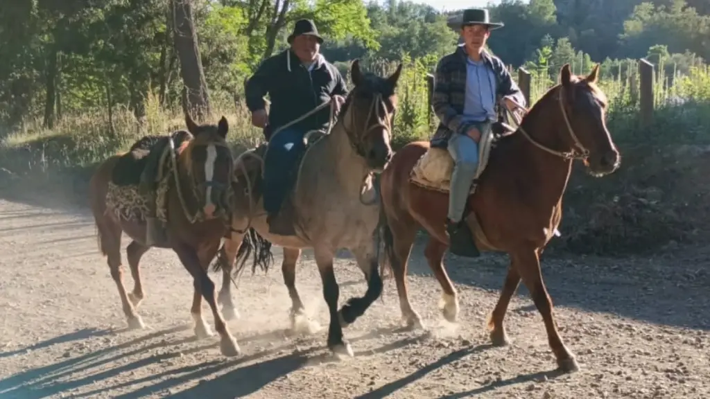 La actividad contempló un recorrido que unió a la comunidad Sagrado Corazón de Jesús de Bellavista con la comunidad de San Sebastián de Quilapalos., Parroquia Quilaco