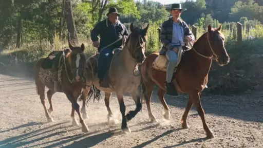 Con cabalgata campesina comienzan las actividades previas a la festividad de San Sebastián en el Biobío
