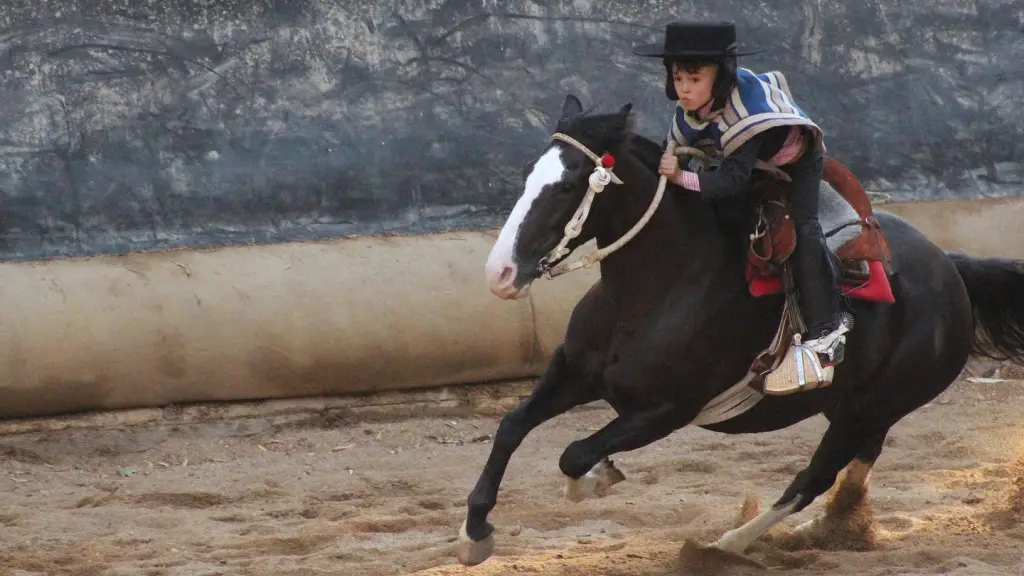 Maximiliano demostró seguridad en la pista, entusiasmo y una conexión evidente con el ejemplar, cualidades que fueron reconocidas por el público y asistentes al evento ecuestre., Municipalidad de Yumbel 