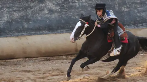 Desde Yumbel destacan a niño de 6 años que brilló en final nacional del Caballo Chileno