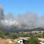 Incendio Forestal en Quillón se encuentra fuera de control , X