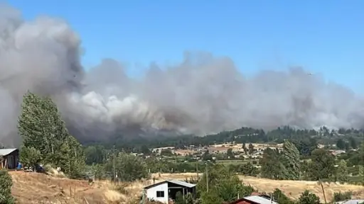 Incendio forestal en Quillón se encuentra fuera de control 