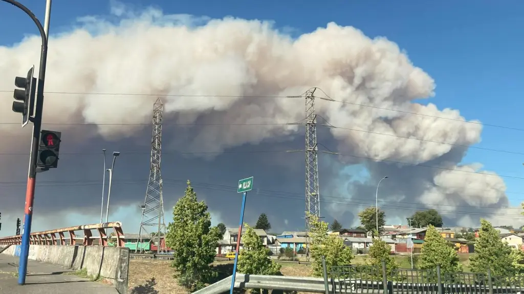 Decretan alerta roja en Concepción y Penco por gran incendio forestal, X