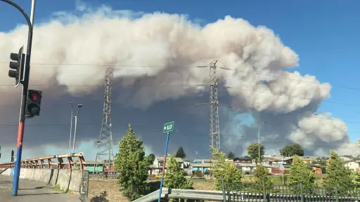 Decretan alerta roja en Concepción y Penco por gran incendio forestal