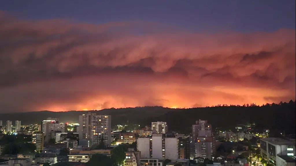 Alerta Roja en la Provincia de Concepción por incendio forestal: hay múltiples sectores evacuados, La Tribuna