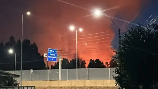Incendio forestal en Cabrero: dos hectáreas de vegetación resultaron quemadas