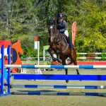 En el Haras Santa Amelia será el epicentro de la equitación provincial con la llegada de destacados binomios de todo Chile, en una cita que mezcla deporte, tradición y familia, La Tribuna