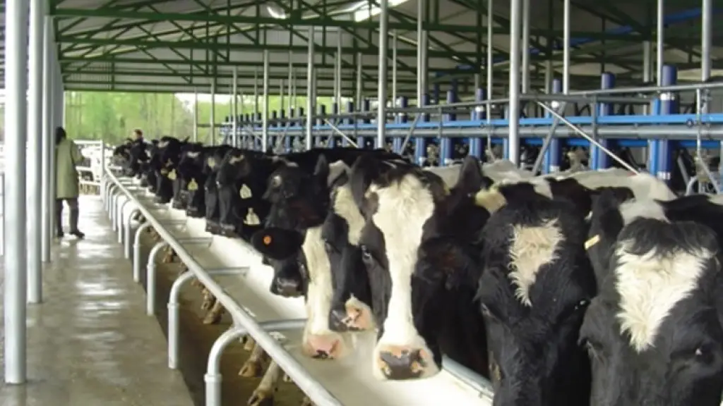 La agenda lechera para las nuevas autoridades incluye la gestión hídrica como pilar de producción, la simplificación de los permisos agrícolas y la resolución de temas específicos como el etiquetado de lácteos. / FEDELECHE F.G.