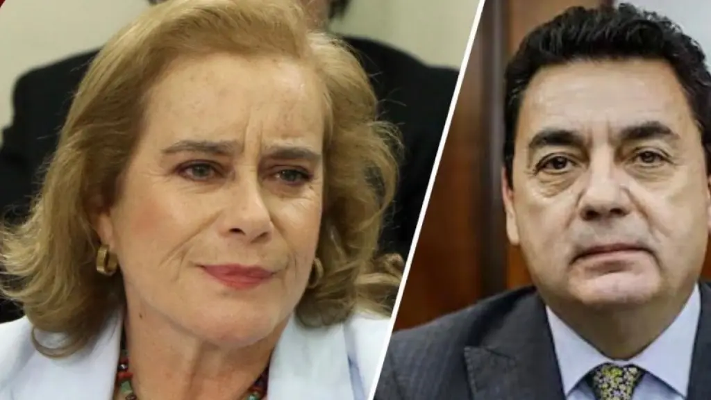 Diputada Flor Weisse, Cedida