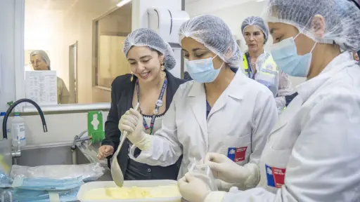 Refuerzan fiscalizaciones a heladerías del Biobío en plena temporada de verano