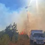 El incendio de un skidder y un siniestro forestal se produjo esta tarde en Cabrero, referencial