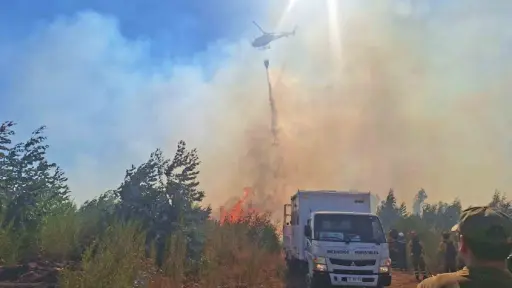 Incendio de un skidder y un forestal movilizó a bomberos de Cabrero