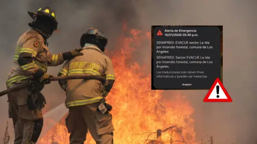 Alerta Roja en Los Ángeles: incendio forestal obliga a evacuar sector La Isla y activa alerta SAE