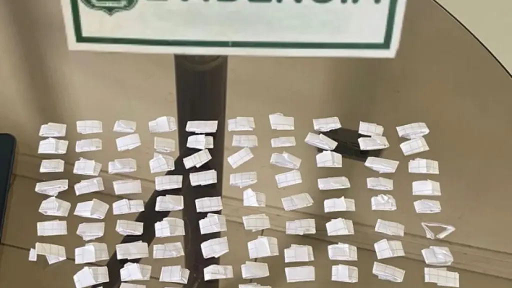 Droga y arma blanca incautada por Carabineros en Yumbel, Cedida