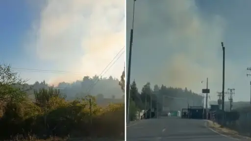 Reportan gran incendio de pastizales al interior de la Central Hidroeléctrica Rucalhue en Santa Bárbara