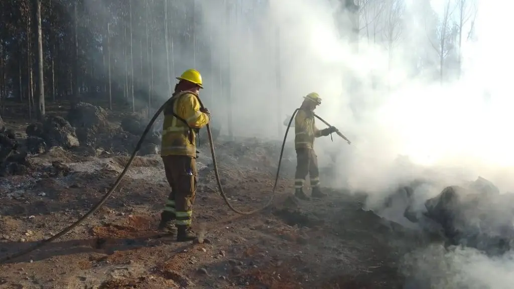 5 comunas de la provincia de Biobío están con Botón Rojo por peligro de incendios forestales, referencial