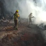 5 comunas de la provincia de Biobío están con Botón Rojo por peligro de incendios forestales, referencial