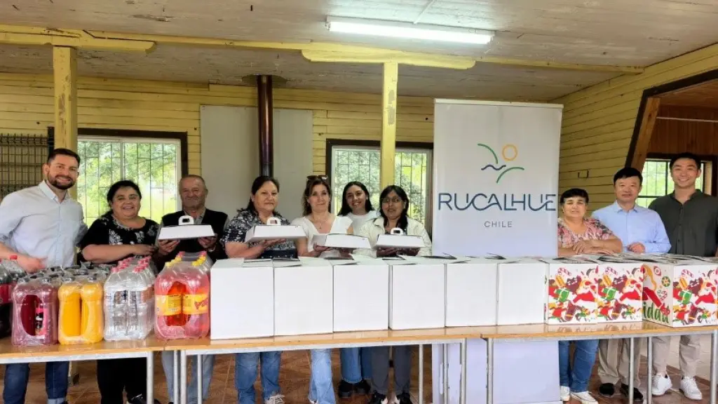 Registro de la actividad.