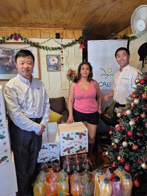 Registro de la actividad. / Rucalhue Energía SpA