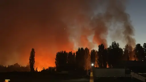 Cabrero: incendio de pastizales y matorrales moviliza a bomberos