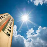 Las altas temperaturas incrementan las probabilidades de que se registren incendios forestales y de interfase., Contexto