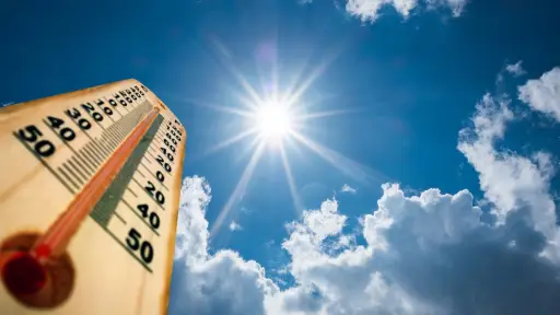 Temperaturas sobre 35°C mantienen en alerta a Bomberos en Biobío
