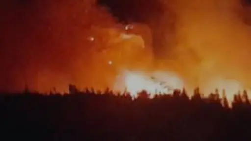 Reportan incendio forestal en sector Millantú de Los Ángeles