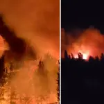 10 hectáreas quemadas y una vivienda destruida dejó incendio forestal en Los Ángeles, La Tribuna