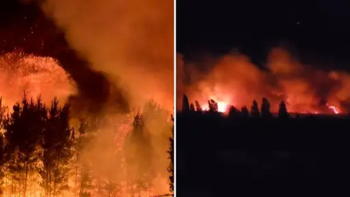 10 hectáreas quemadas y una estructura destruida dejó incendio forestal en Los Ángeles