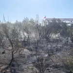 Fuego afectó aproximadamente 300 metros de pastizales., Cedida