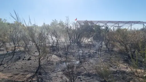 Detienen a hombre que habría provocado incendio de pastizales en Antuco