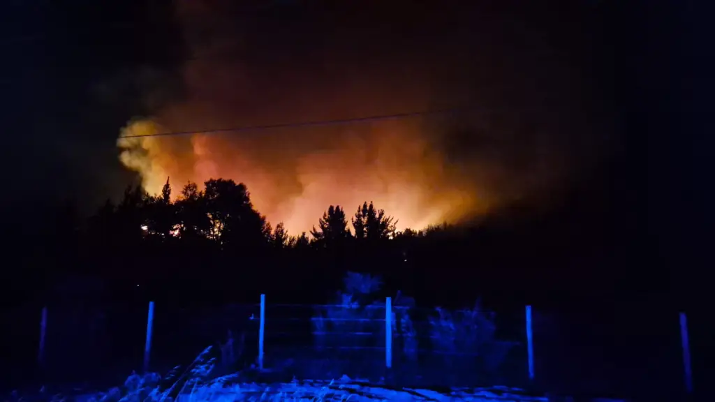 Incendio forestal en la comuna de Nacimiento, Cedida