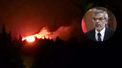 A 16 se elevan los fallecidos por incendios forestales en Biobío y Ñuble