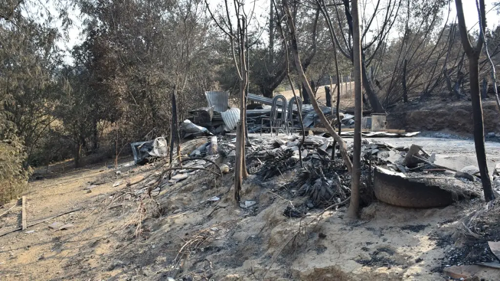 Incendios en Nacimiento (archivo), Archivo La Tribuna