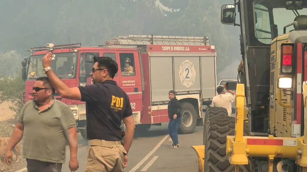 Laja y Nacimiento son las comunas más complicadas en materia de afectación por los incendios Forestales, DPP Biobío