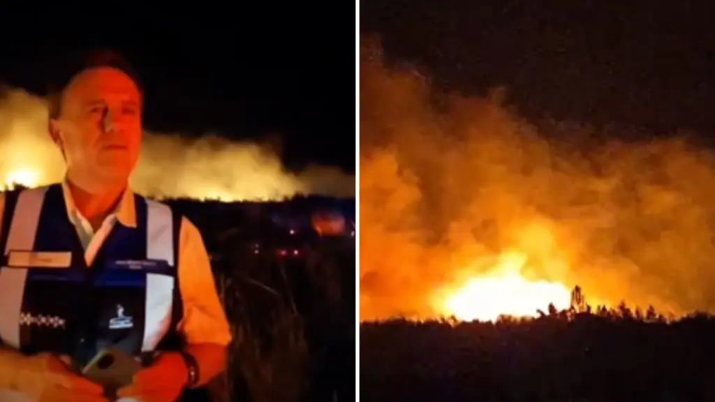 Incendio Forestal en mirador del Biobío Mulchén, La Tribuna