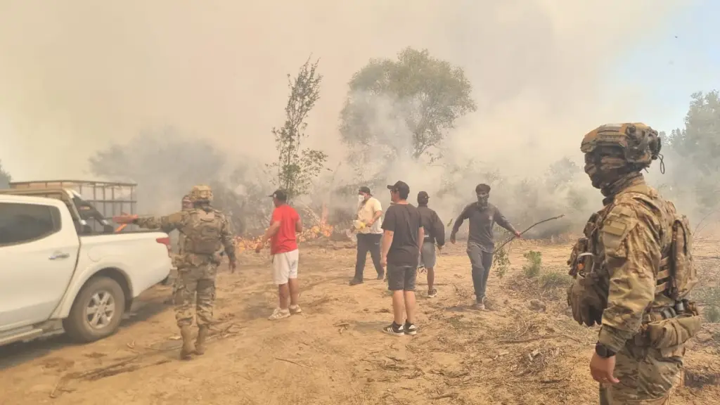 Incendios forestales en Biobío, Diario La Tribuna