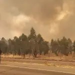 Evacúan tres sectores de Laja por avance de incendio forestal , La Tribuna