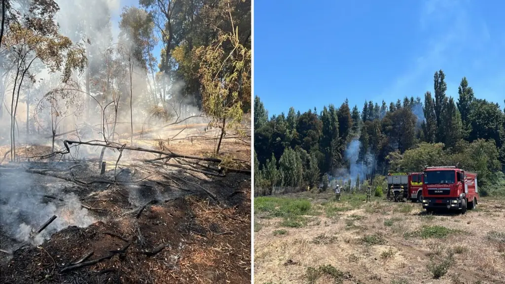 Incendios forestales en Cabrero fueron controlados tras rápido despliegue de Bomberos, Municipalidad de Cabrero 