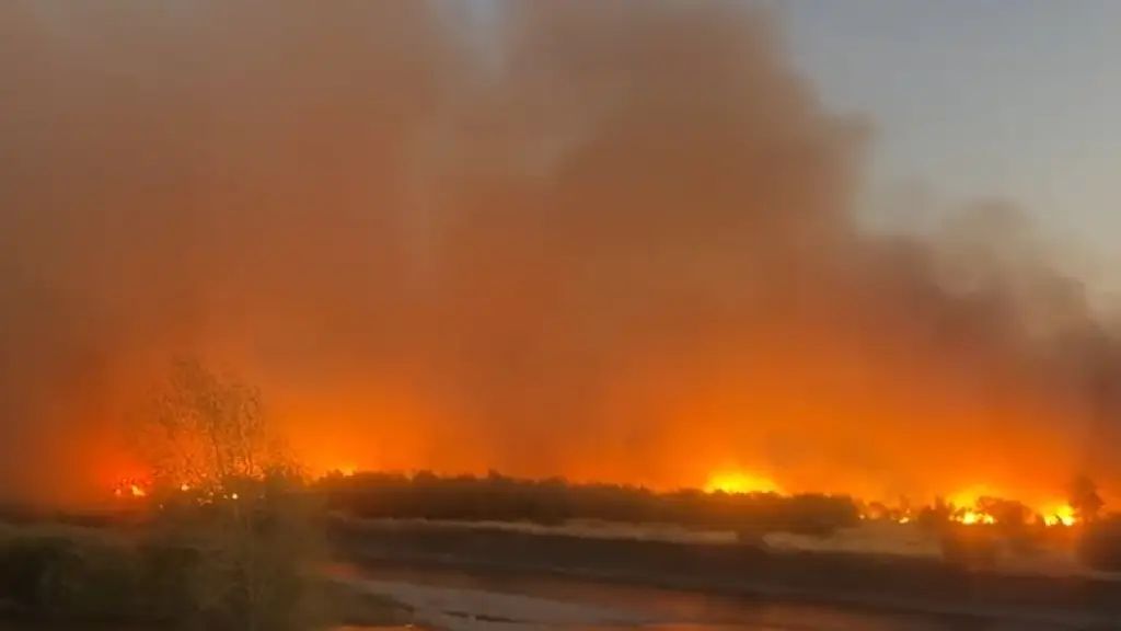Incendio de pastizales afectó al sector sur de San Carlos de Purén, Gonzalo Reyes Quintana