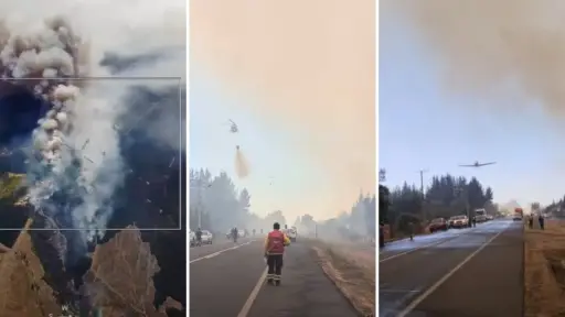 Ruta Laja-Yumbel se encuentra cortada por incendio forestal