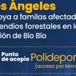 Centro de acopio, Los Ángeles, Cedida