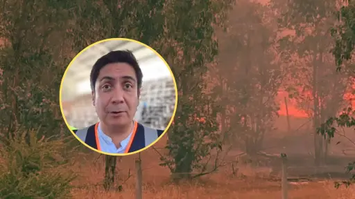 Estamos al límite: subsecretario del Interior advierte escenario crítico por incendios en el Biobío