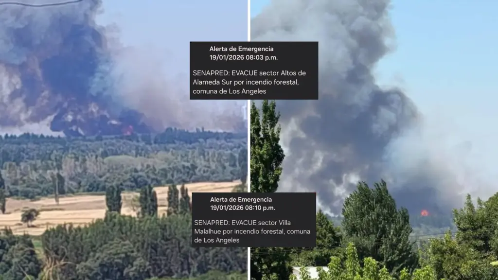 Ordenan evacuar dos sectores de Santa Fe en Los Ángeles por avance de incendio forestal, La Tribuna