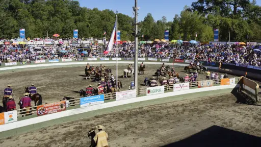 El corazón del rodeo volverá a latir en Los Ángeles con el Clasificatorio Zona Sur 2026