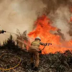 Brigadistas forestales son amenazados con armas de fuego mientras combatían incendio en Curanilahue, Diario La Tribuna