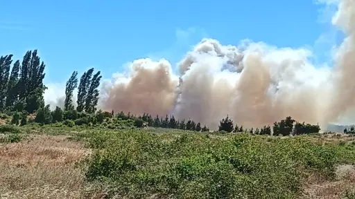 Primera semana del año deja cuatro detenidos por incendios forestales en la provincia