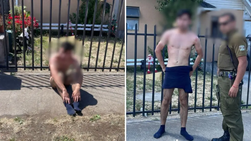 Detención ciudadana en Los Ángeles terminó con dos detenidos tras asalto a botillería, Diario La Tribuna