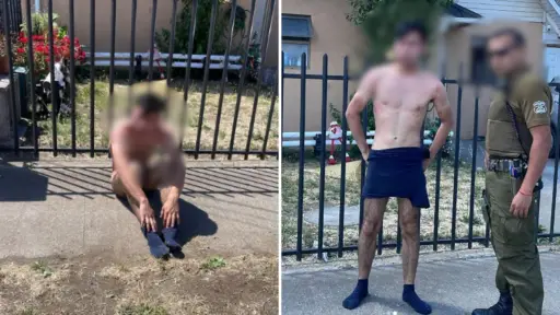 Vecinos frustran robo de auto en sector Galilea de Los Ángeles