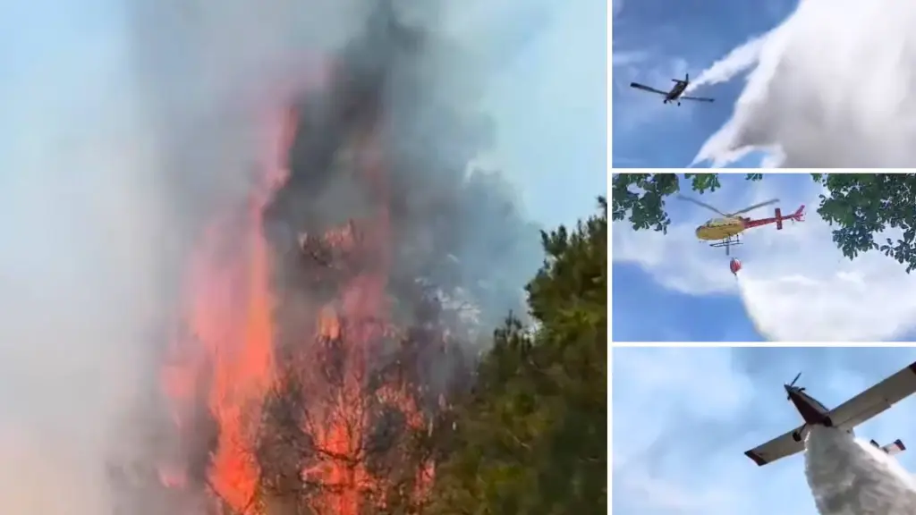 El incendio de pastizales en Nivequetén se combate con unidades aéreas., Primera Compañía Antuco